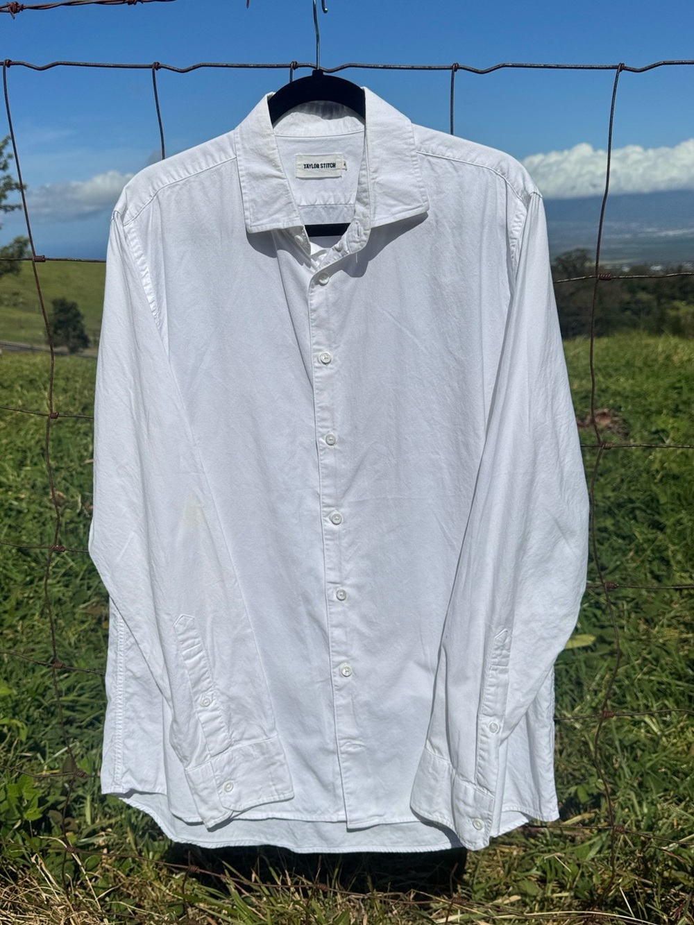 Taylor Stitch Shirt Mens 44 White Long Sleeve Button Front Casual Cotton